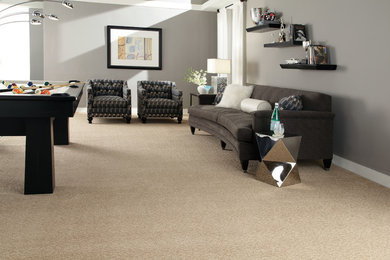 Inspiration for a mid-sized modern living room in Indianapolis with carpet.