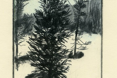 Fir in Winter / Limted Edition Drypoint Prints