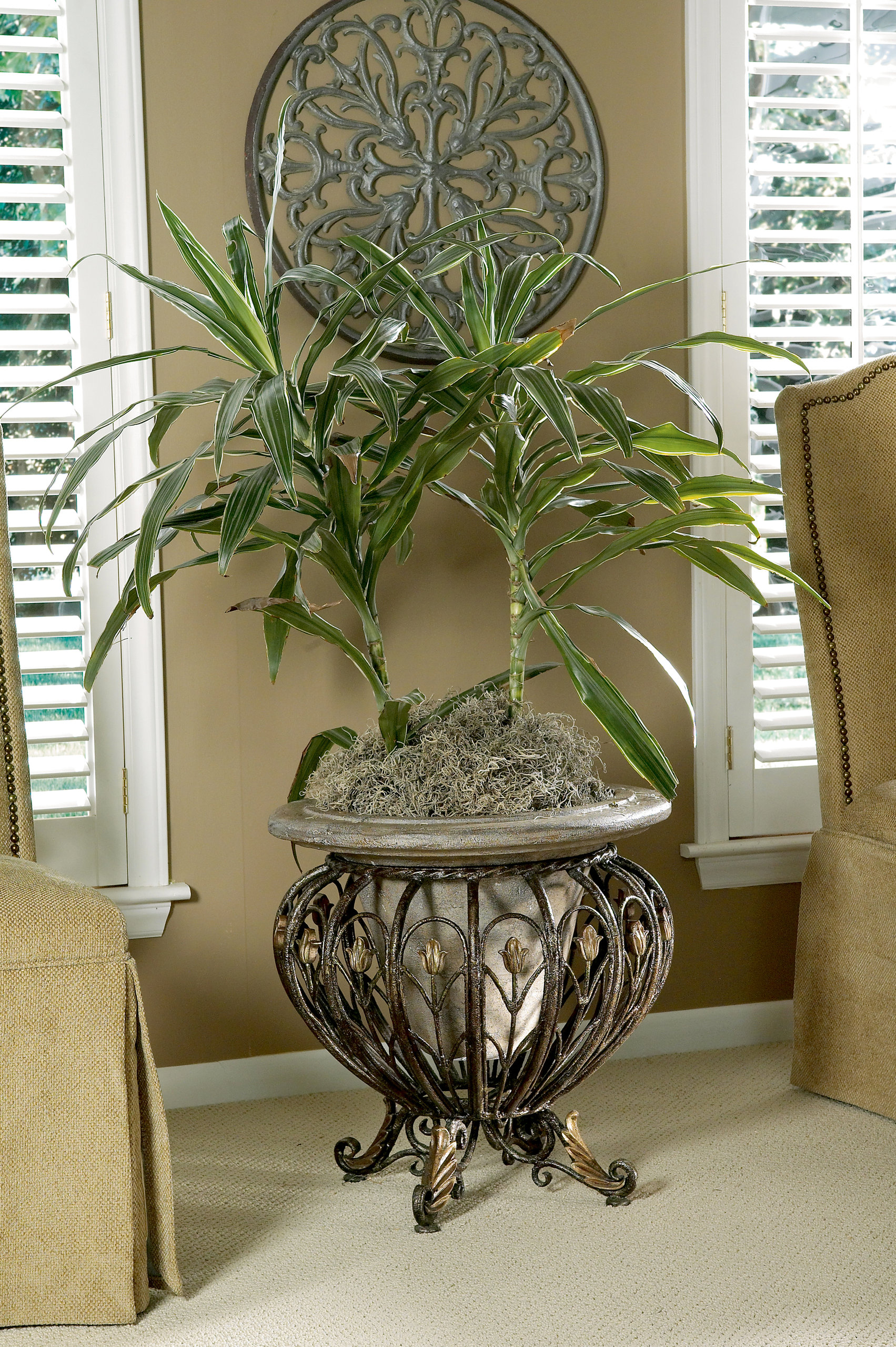 Butler Cast Iron & Stone Planter - Traditional - Indoor Pots And ...