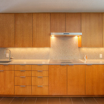 Mid Century Modern Kitchen