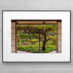 Framed Wysteria - Photographs