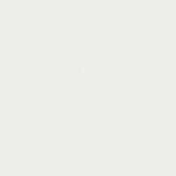 Dulux China White - Paint