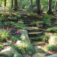 Hillside Landscaping