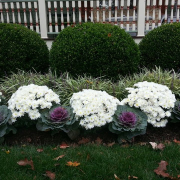 Fall flowers