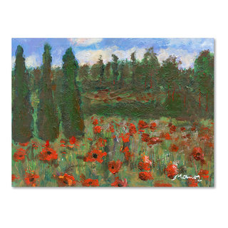 Designart 'Poppy Flowers on Summer Meadow' Floral Framed Canvas Art Print - 20 in. Wide x 12 in. High