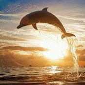 Mariela Duncan's photo