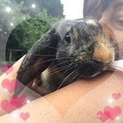 Rina Marsh's photo