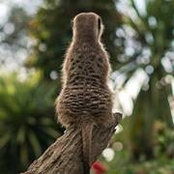 Bill Chen's photo
