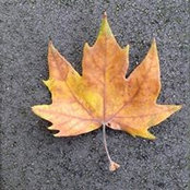 Roxanne Tan's photo