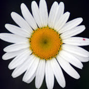 Kelly Bott's photo