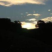 Cindy Hoang's photo