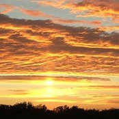 Bambi Horn's photo