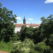 Foto von Lynne Borgia