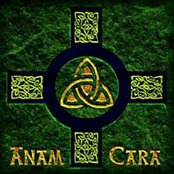 Tom Danaher's photo