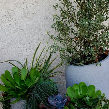 Sandy beach garden