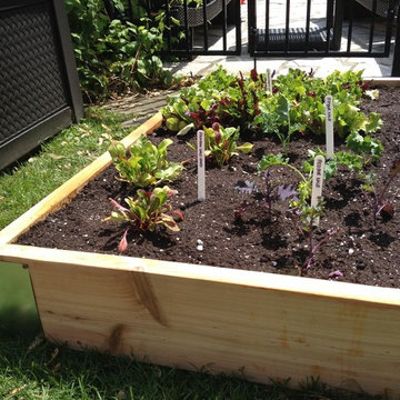 Pool Side Edible Garden