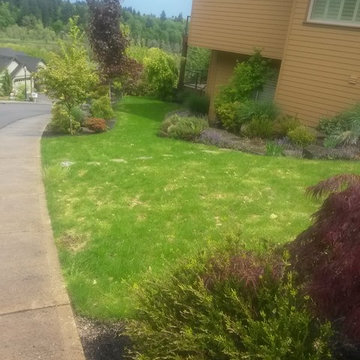 Lawn Care - Before