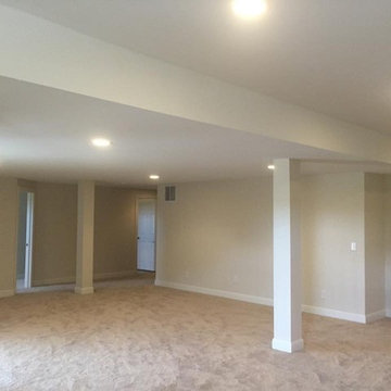 Toro Contracting Projects