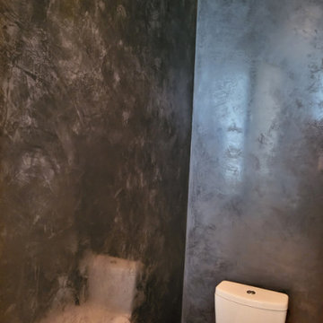 Lakeview Ave, Chicago - Venetian Plaster