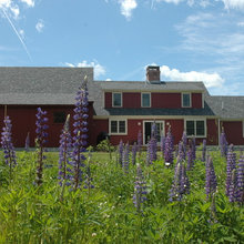 Exterior Ideas