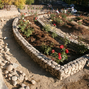 Fair Oaks, CA Rose Garden