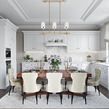 Classic House Design 3D Renderings. Kitchen /Hall Interiors