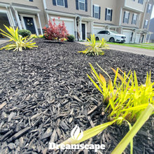 Front Lawn