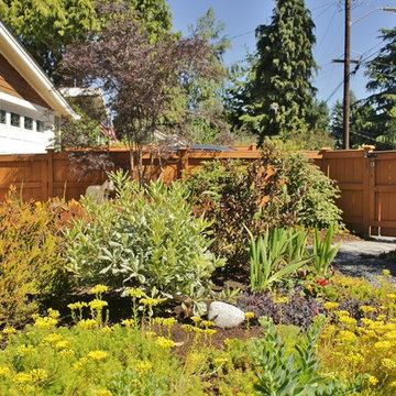 Seattle Yard Undergoes a Transformation
