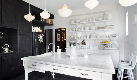 Houzz Tour: Black Meets White in a Lovingly Rescued House in Toronto