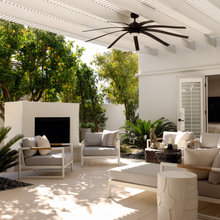 Side Yard Citrus Blocking Afternoon Sun