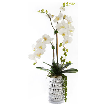 White Orchid with Succulent Arrangement in a Silver Vase