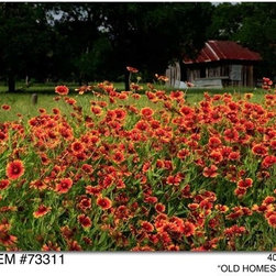 Old Homestead Outdoor Canvas Art - Home Decor