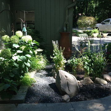 Rain Garden Milford Michigan