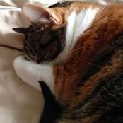 Carol Horn's photo