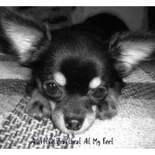 Julie Tucker's photo