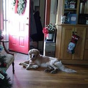 Beth Cardarelli's photo