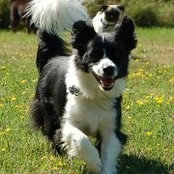 Foto von Harlee Morgan