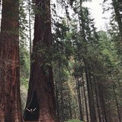 Adrianne Miller's photo