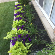 front yard