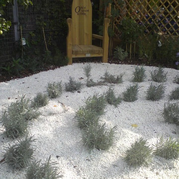 sensory garden