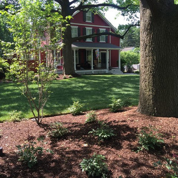 Historic Yard Restoration