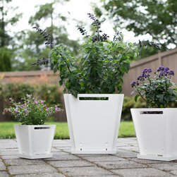 Flat-Pack Planter and Drainage Tray - Products