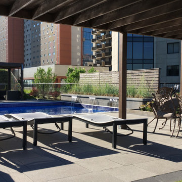 Modern pergola and privacy walls