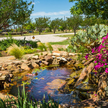 The Golden Pond and Water Features