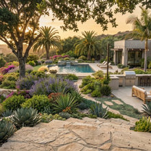amazing houses