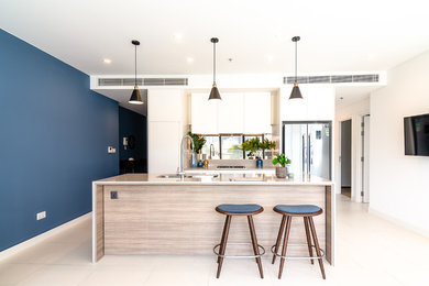 Inspiration for a mid-sized contemporary kitchen remodel in Other
