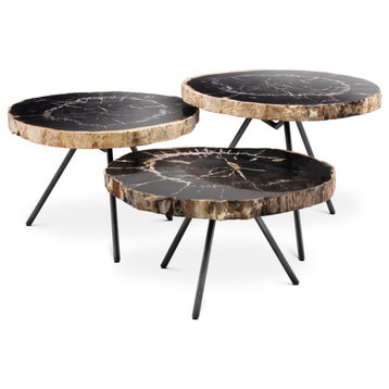 Petrified Wood Coffee Table Set (3) | Eichholtz De Soto