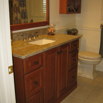 Polished Guest Bathroom (B-67)