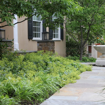 Griffiths Gardens