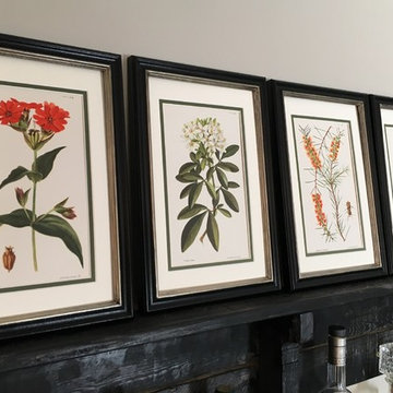 Botanical Prints